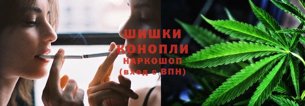 дживик Надым