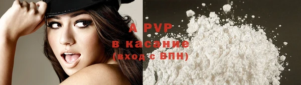 тгк Инта