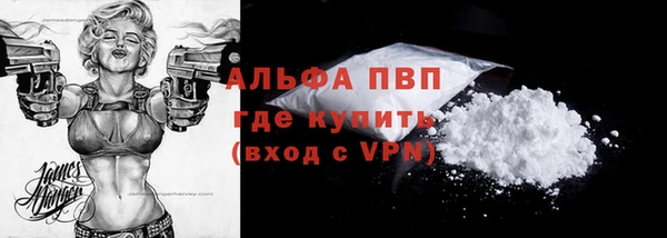 дживик Надым