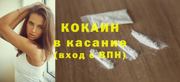 дживик Надым